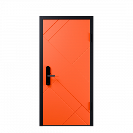 Входная дверь Electrodoors Line RAL 2009