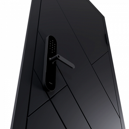 Входная дверь Electrodoors Line RAL 9005