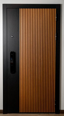 Входная дверь с электронным замком Electrodoors City 2