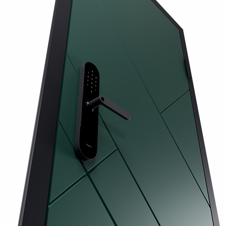 Входная дверь Electrodoors Line RAL 6009