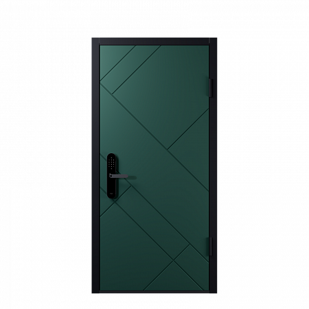 Входная дверь Electrodoors Line RAL 6009